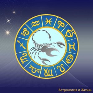 знак зодиака скорпион